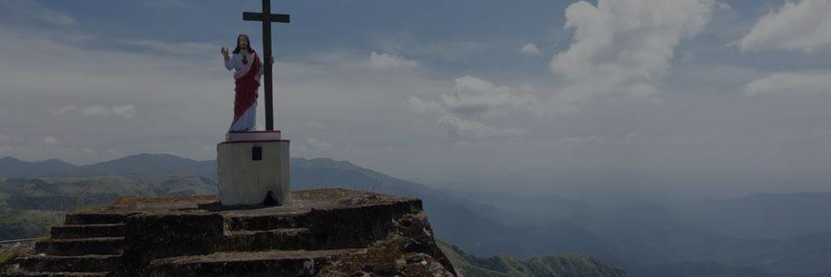 kerala hotels and resorts