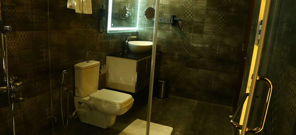 hotels near kochi airport kerala