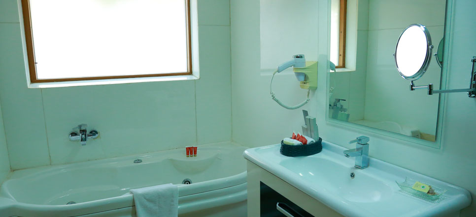 ernakulam hotel stay