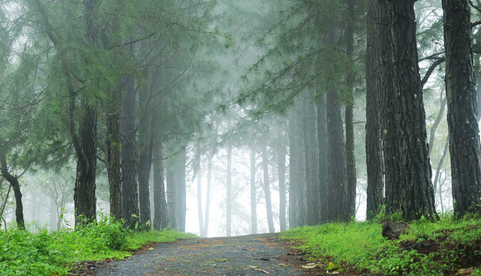saj vagamon hideout